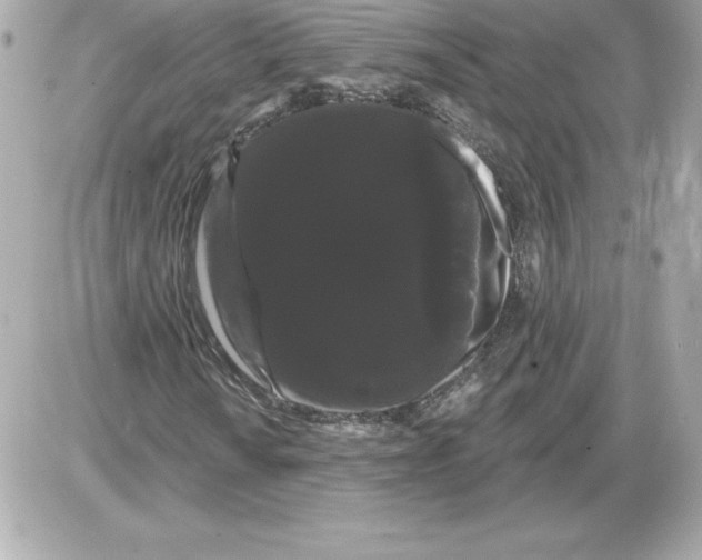 X0000085221010200704091926