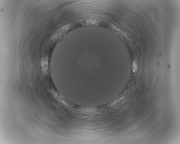 X0000085221011200704091926