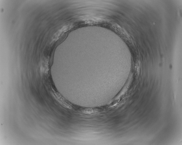 X0000085221012200704091926