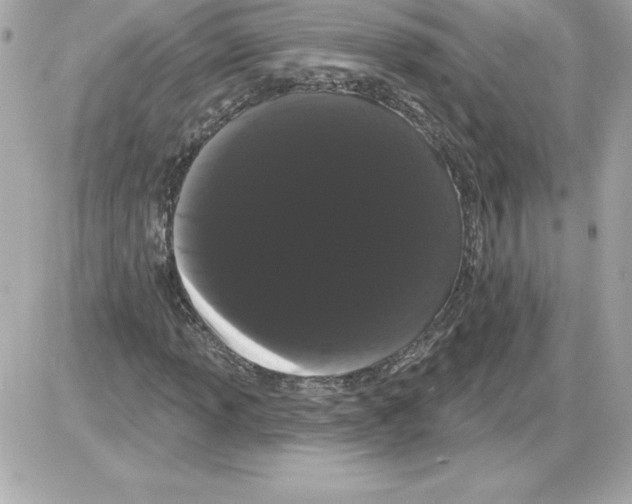 X0000085221013200704091926