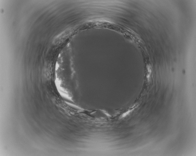 X0000085221014200704091926