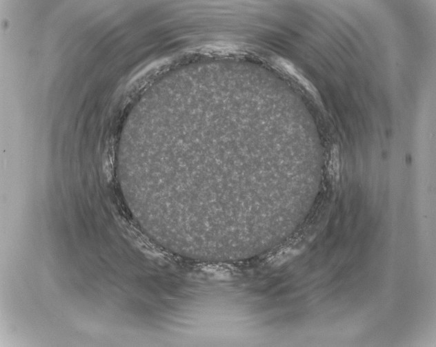 X0000085221015200704091926