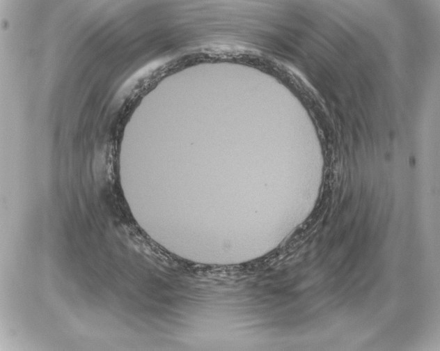 X0000085221016200704091926