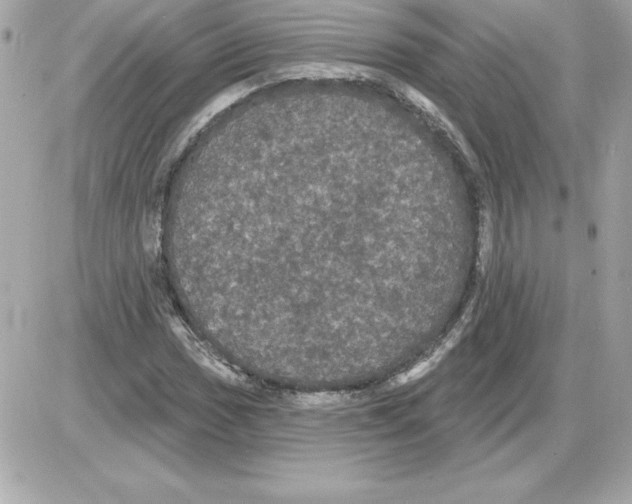 X0000085221017200704091926