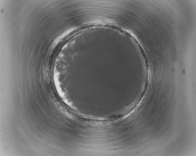 X0000085221018200704091926