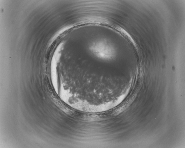 X0000085221019200704091926