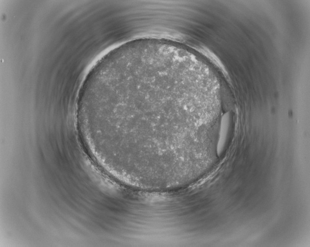 X0000085221020200704091926