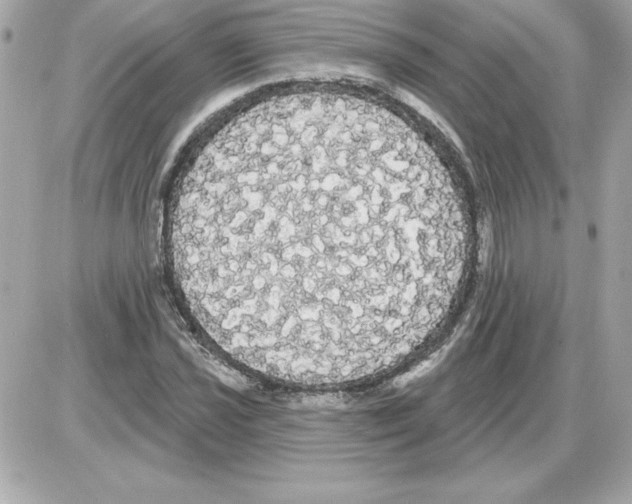 X0000085221021200704091926