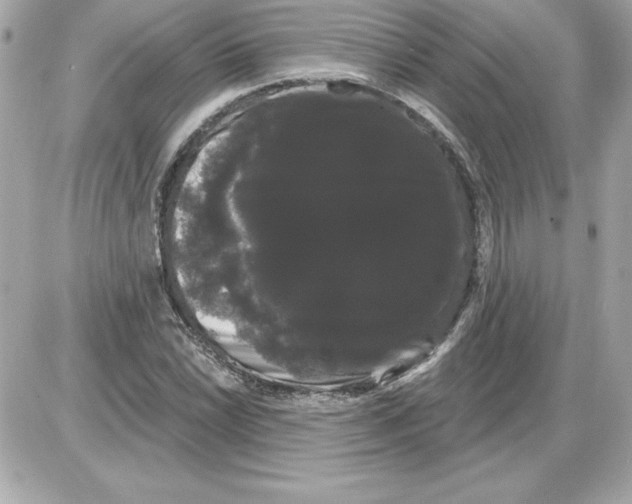 X0000085221022200704091926