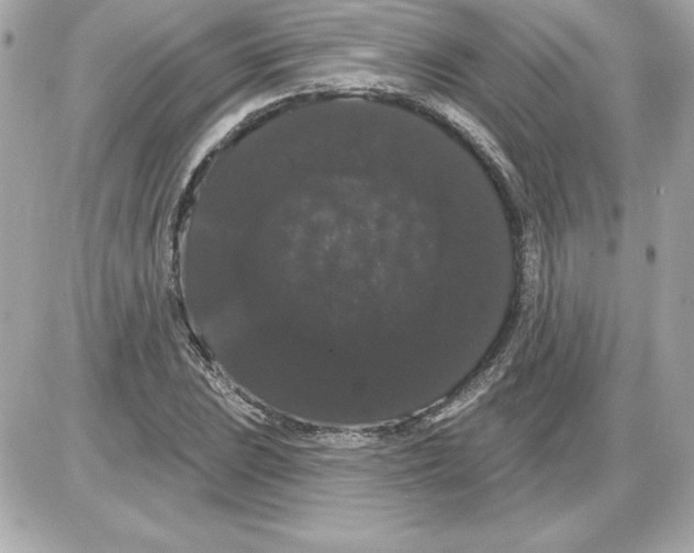 X0000085221023200704091926