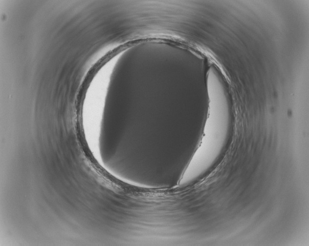 X0000085221024200704091926