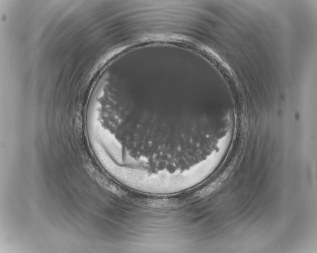 X0000085221025200704091926