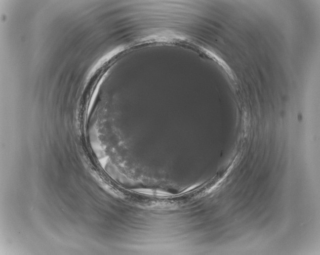 X0000085221026200704091926