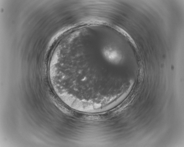 X0000085221027200704091926