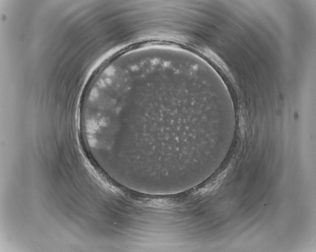 X0000085221028200704091926