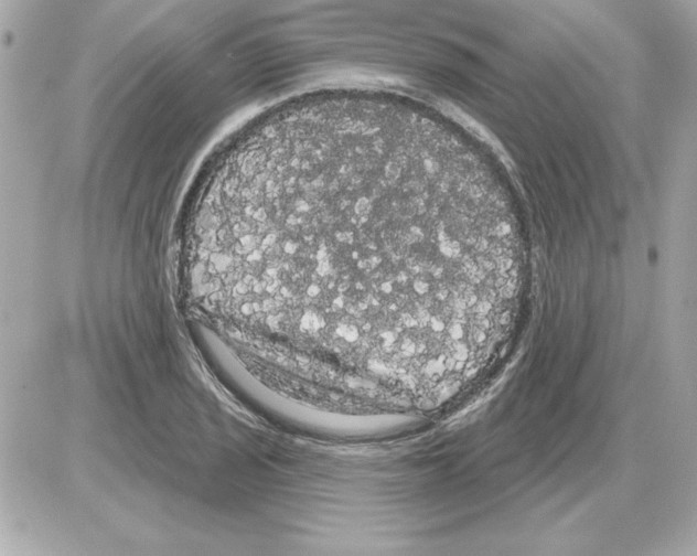 X0000085221029200704091926