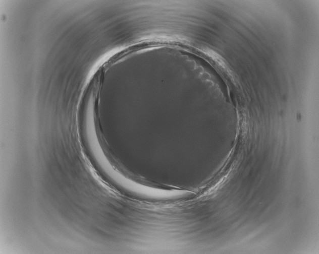 X0000085221030200704091926