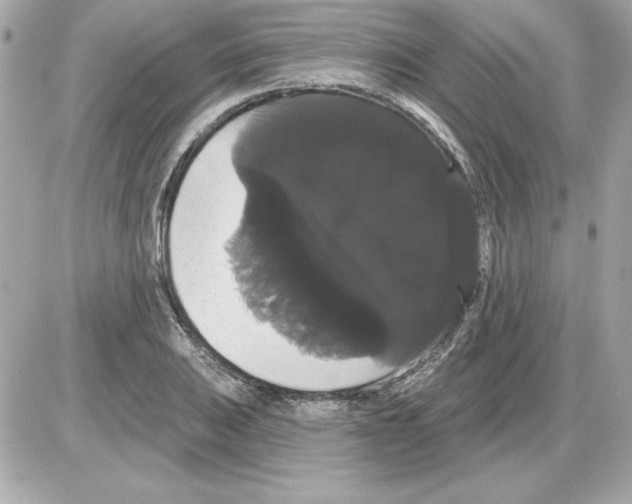 X0000085221031200704091926