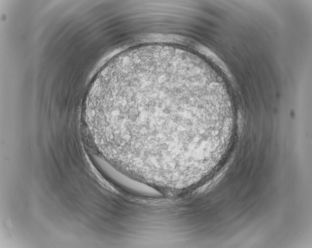 X0000085221033200704091926