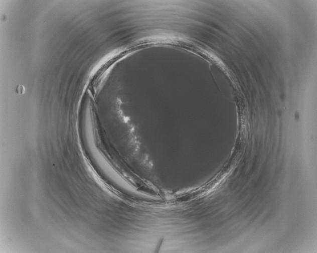 X0000085221034200704091926