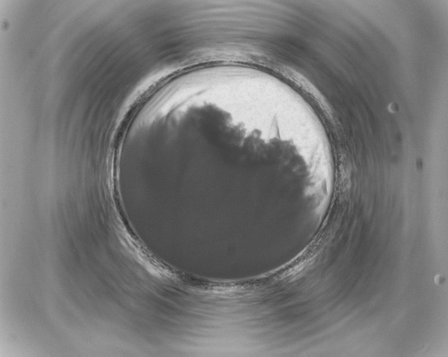 X0000085221035200704091926