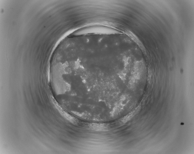 X0000085221036200704091927