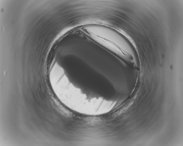 X0000085221037200704091927