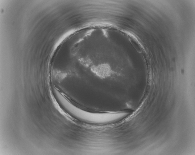 X0000085221038200704091927