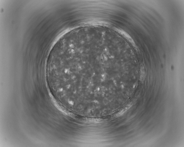 X0000085221039200704091927