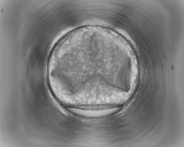 X0000085221040200704091927