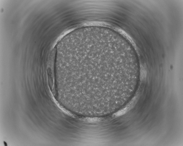 X0000085221041200704091927