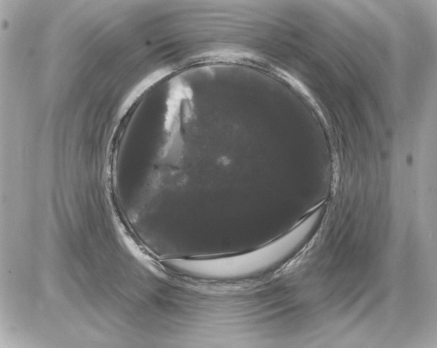 X0000085221042200704091927