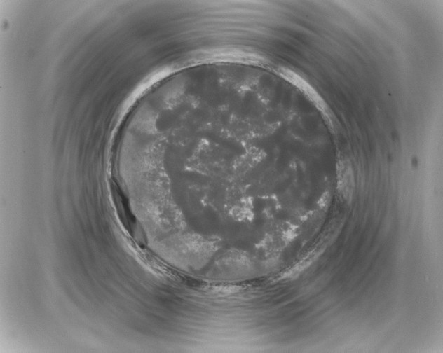 X0000085221043200704091927