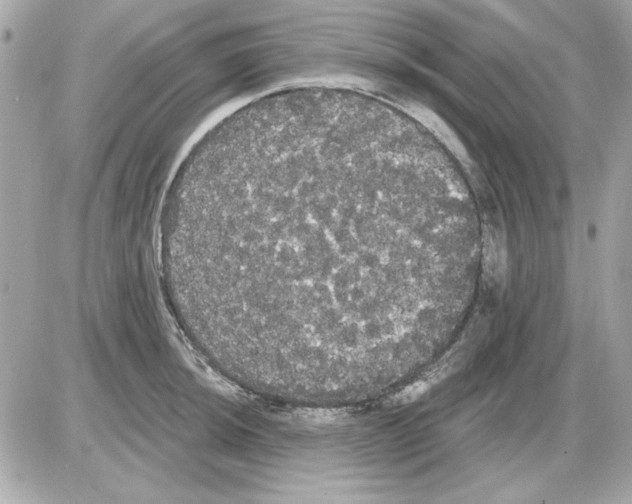 X0000085221044200704091927