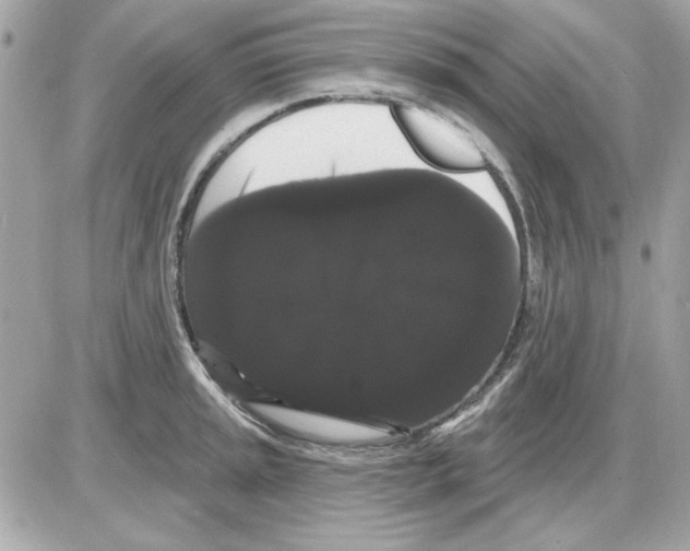 X0000085221045200704091927