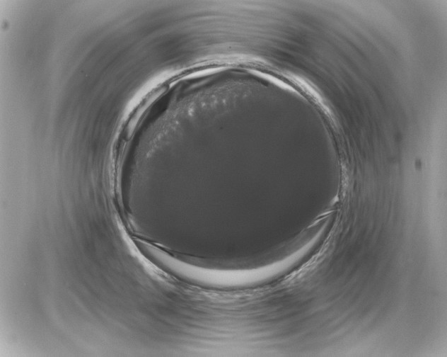 X0000085221046200704091927