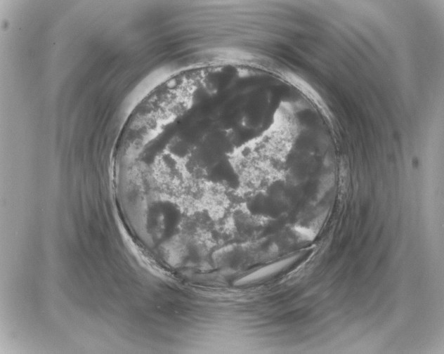 X0000085221047200704091927