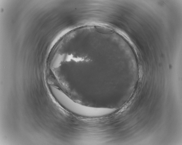 X0000085221048200704091927