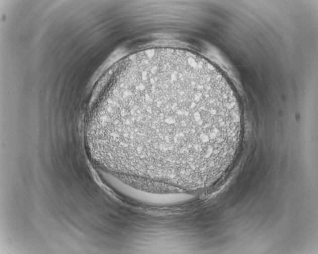 X0000085221049200704091927