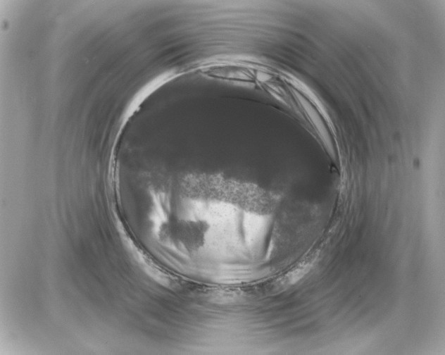 X0000085221050200704091927