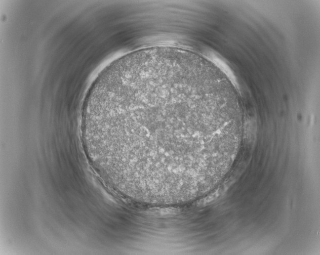 X0000085221051200704091927