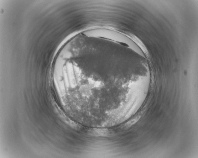 X0000085221052200704091927