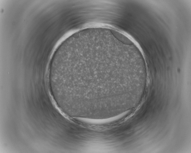 X0000085221053200704091927