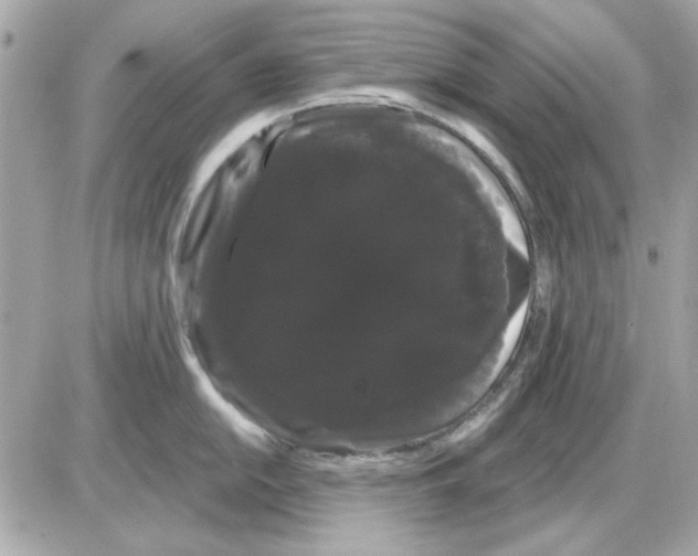 X0000085221054200704091927