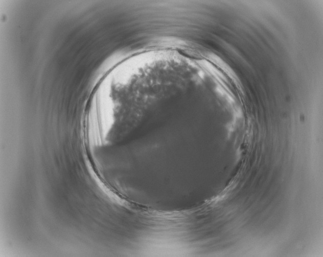 X0000085221055200704091927