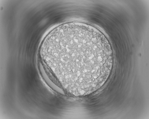 X0000085221056200704091927