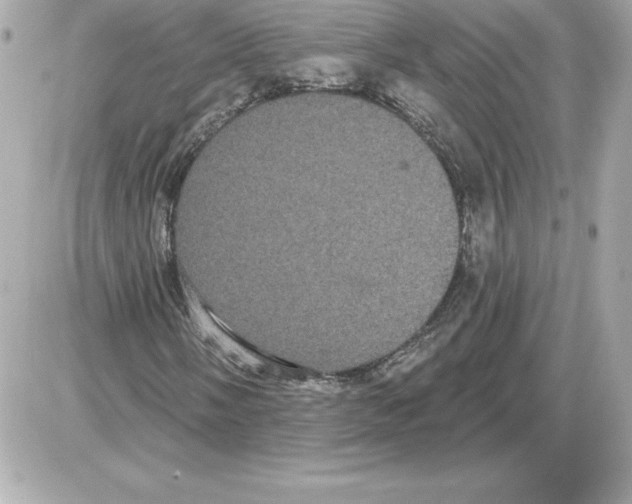 X0000085221058200704091926