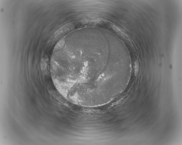 X0000085221059200704091926