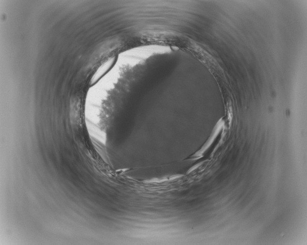 X0000085221060200704091926