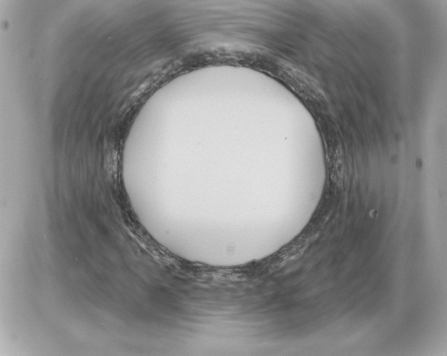 X0000085221061200704091926